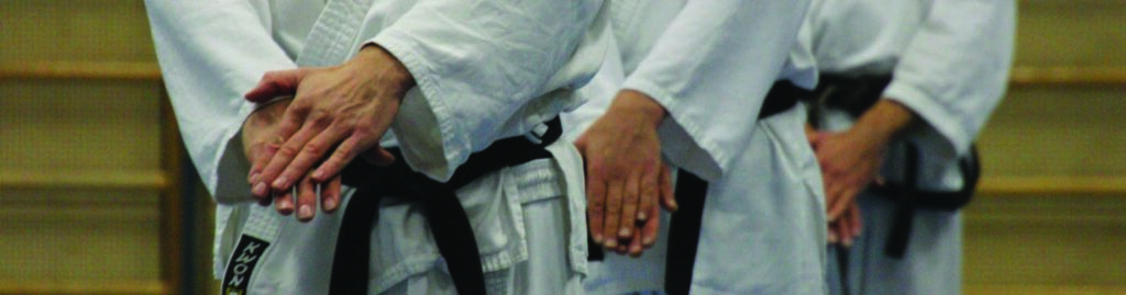 taekwondo puchheim eichenau