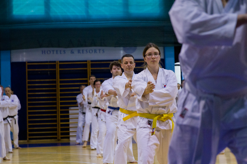 taekwondo Puchheim-eichenau
