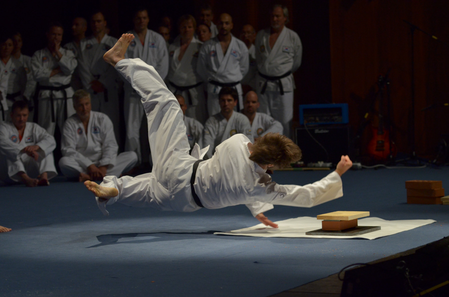 Taekwondo Puchheim-Eichenau