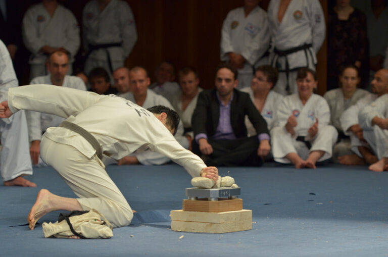 Preisliste taekwondo Puchheim-Eichenau